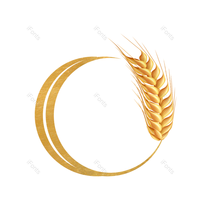 芒种图片,元素元素,稻谷PNG,秋天免抠素材